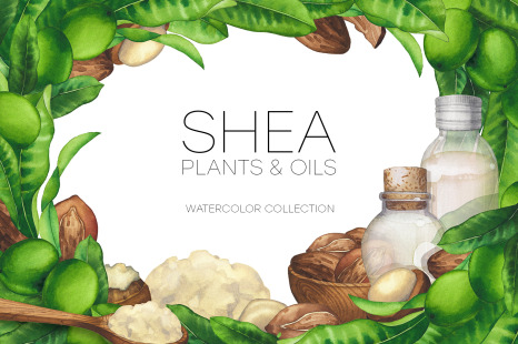 Watercolor shea collection