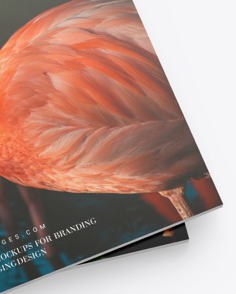 Matte Magazines Mockup PSD #6