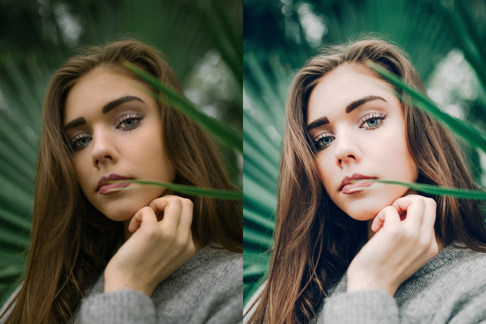 My Perfect Makeup Lightroom Desktop Presets on Yellow Images Creative Store