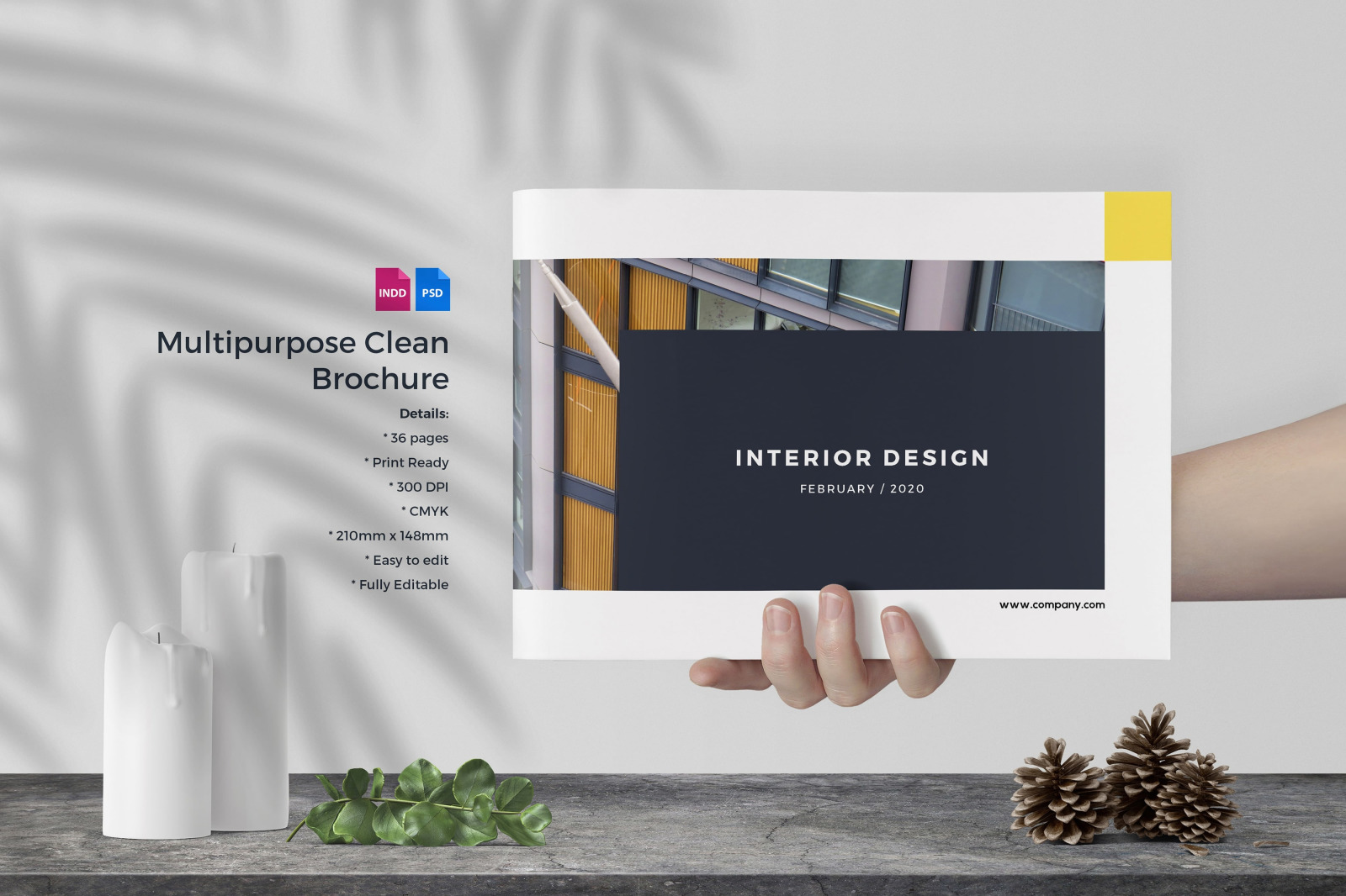 Tri Fold Brochure Mockup Free Download