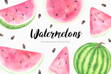Watercolor Watermelon Collection