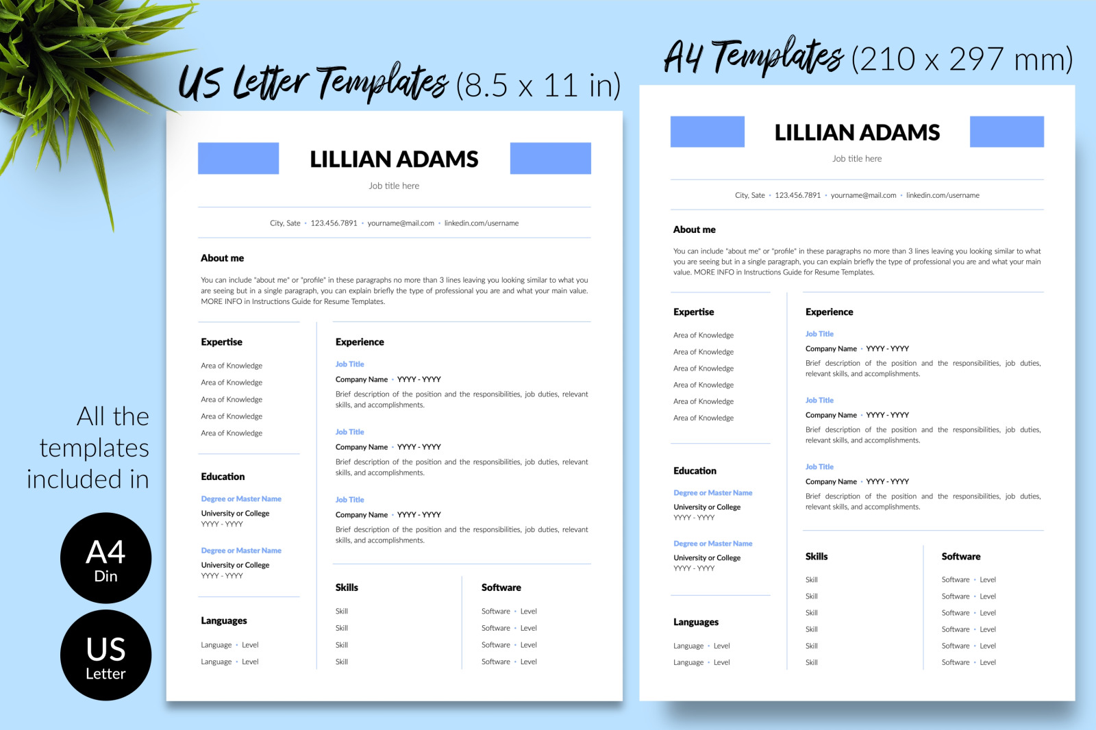 Download Simple Resume Template For Microsoft Word Apple Pages Lillian Adams Cv Design Template In Resume Templates On Yellow Images Creative Store PSD Mockup Templates