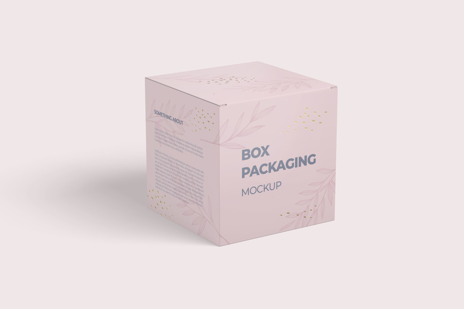 Download Square Box Packaging Mockup Yellowimages