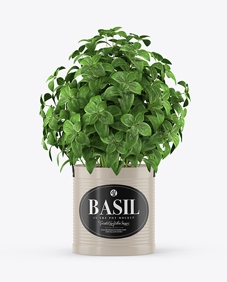 Basil in The Pot Mockup