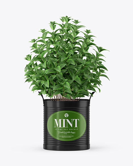 Mint in The Pot Mockup PSD #2