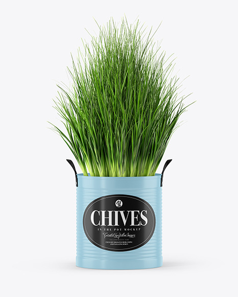 Chives in The Pot Mockup