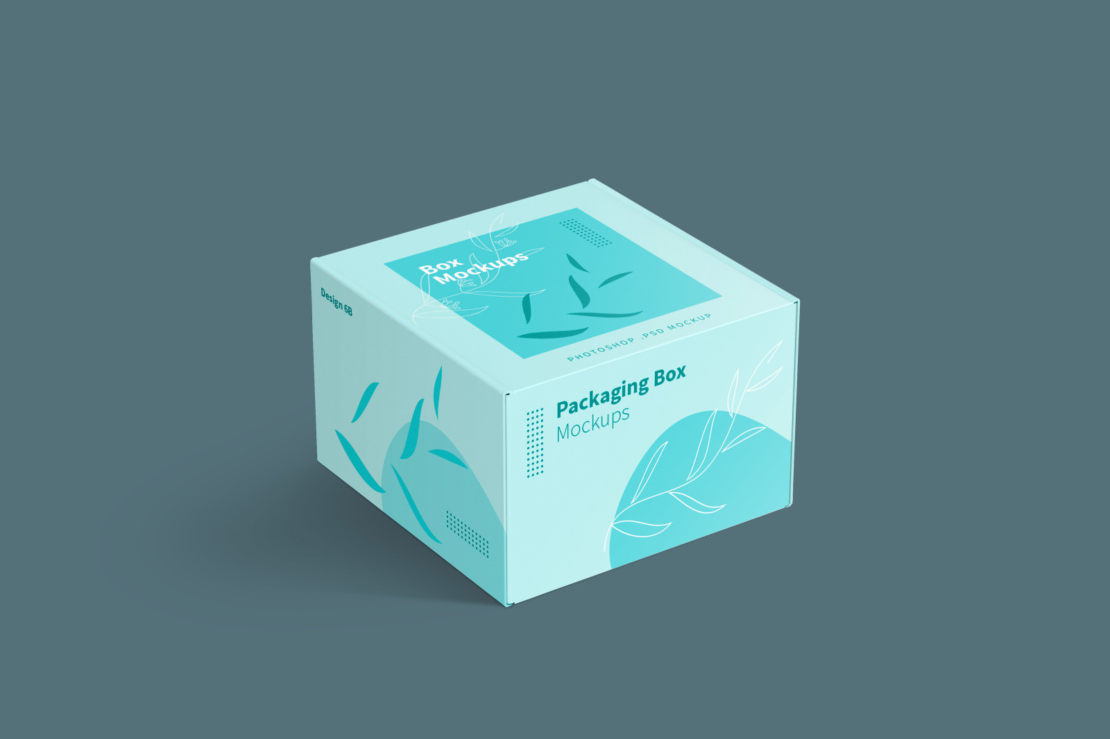 Download Vector Carton Box Mockup Download Free And Premium Quality Psd Mockup Templates PSD Mockup Templates