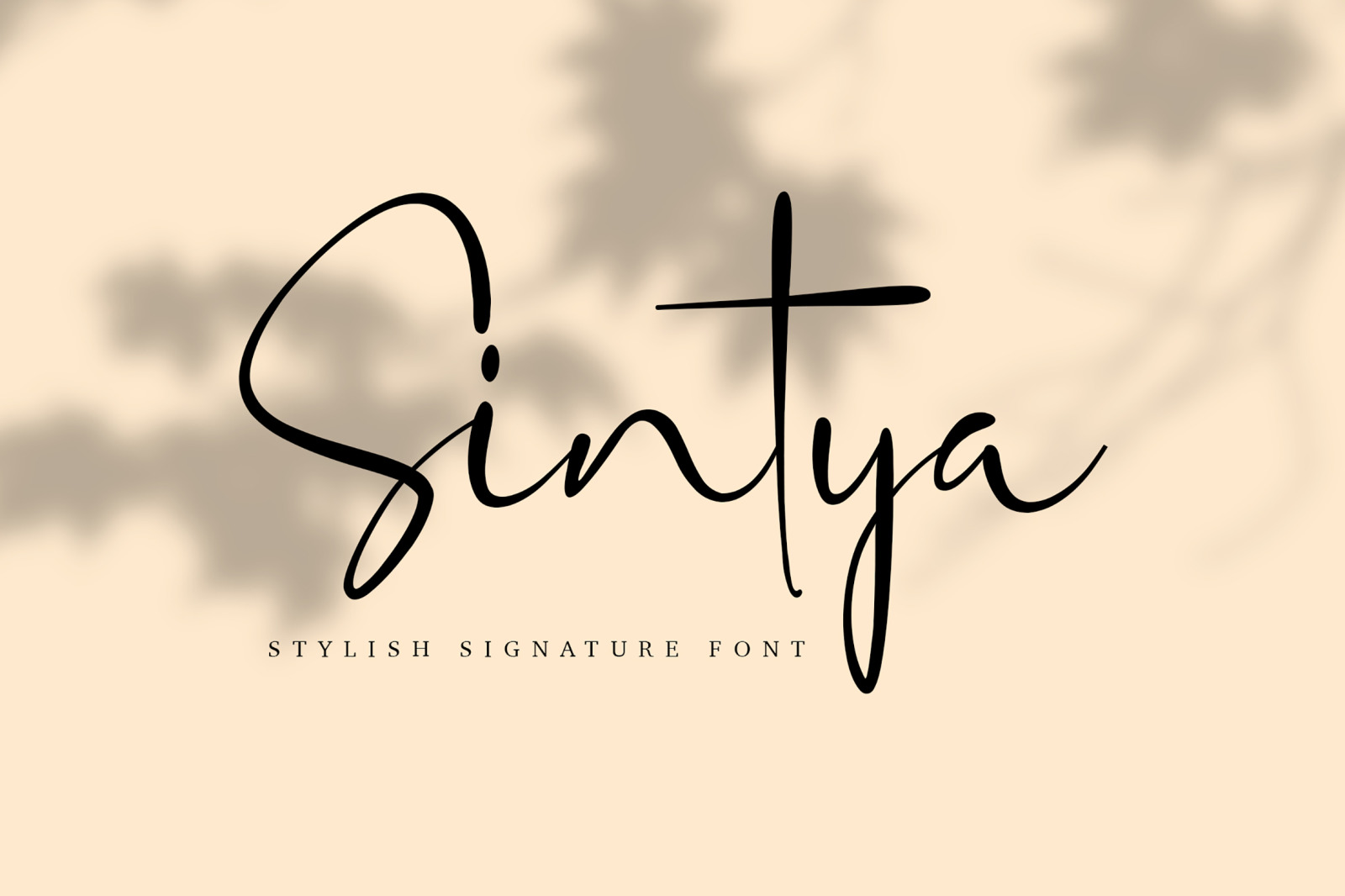 Sintya Stylish Signature Font In Fonts On Yellow Images Creative Store