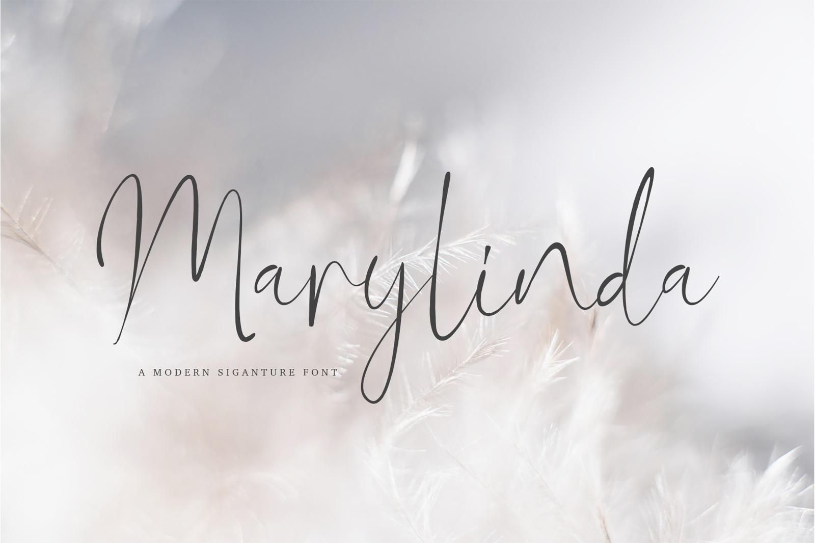 Marylinda Beauty Signature Font In Fonts On Yellow Images Creative Store