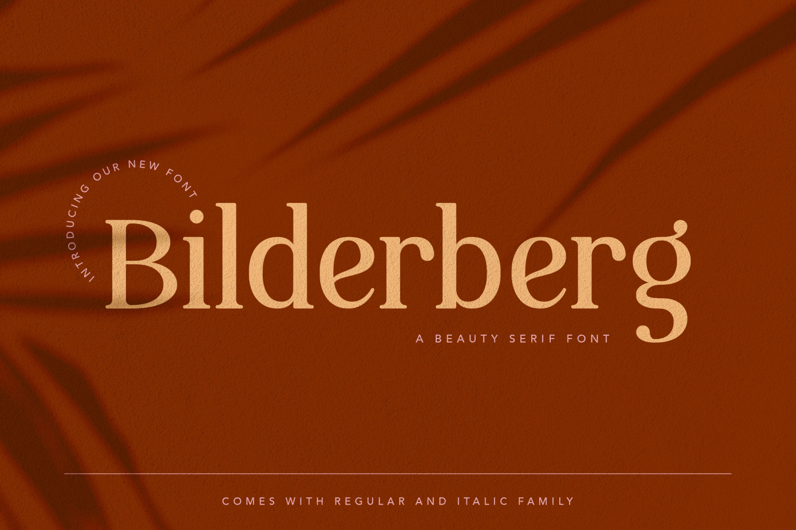 Bilderberg Beauty Serif Font In Fonts On Yellow Images Creative Store