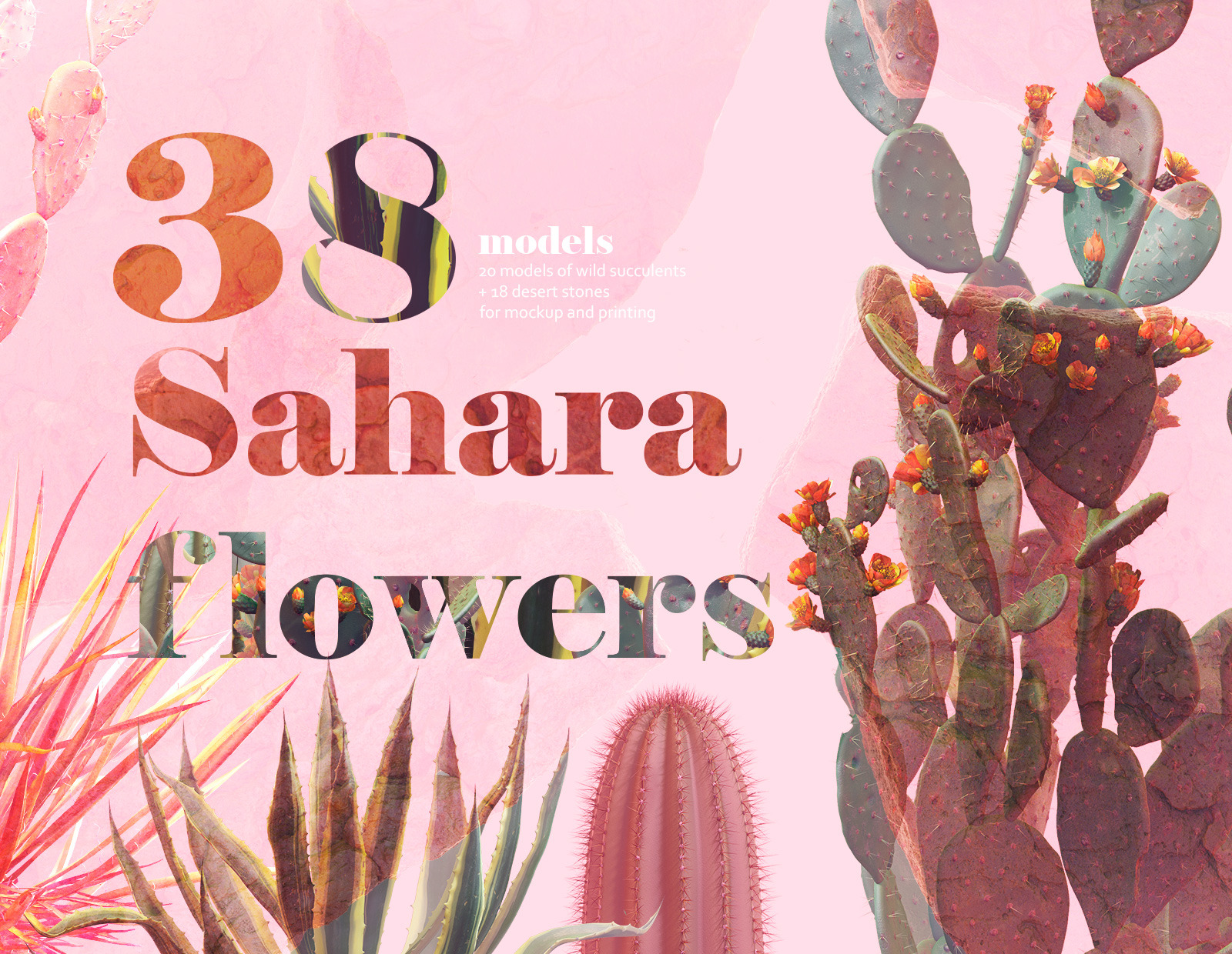 Download Sahara Flowers 01 38 Mockups In Design Elements On Yellow Images Creative Store PSD Mockup Templates