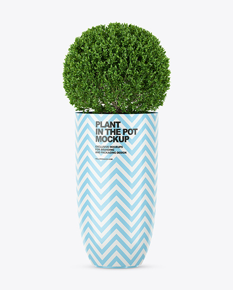 Shrub Plant in the Pot Mockup PSD #2