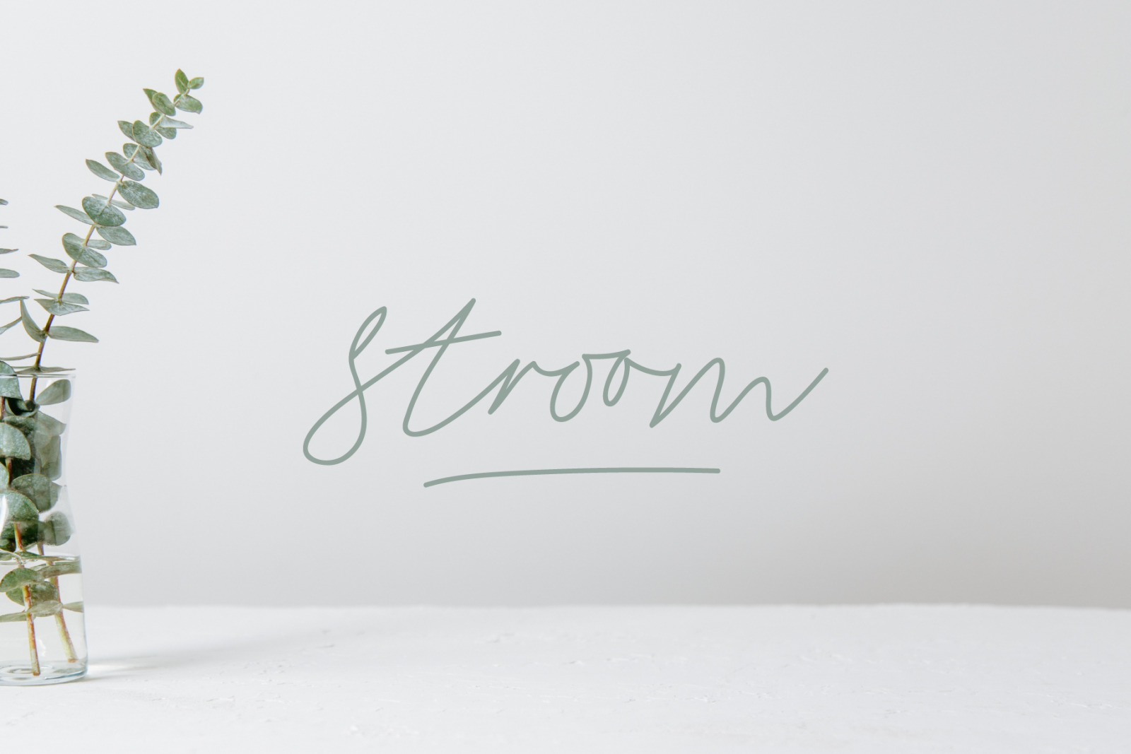 Stroom Script Signature Font In Fonts On Yellow Images Creative Store