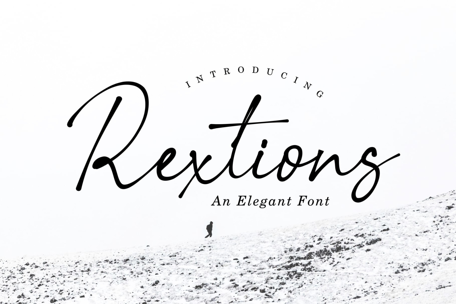 Rextions An Elegant Font In Fonts On Yellow Images Creative Store