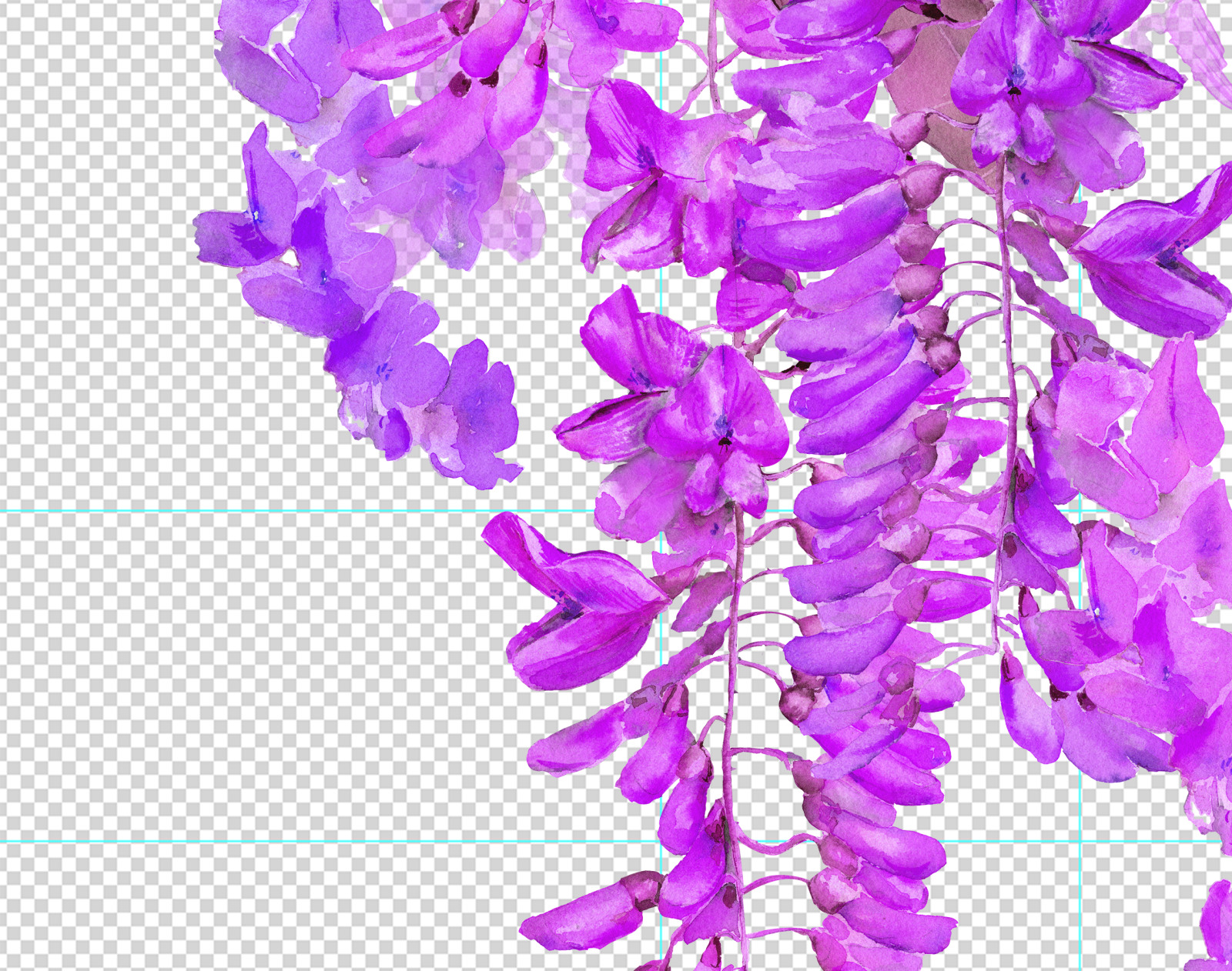 Watercolor wedding flowers clipart Wisteria flower png Purple flower