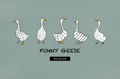 Funny Geese