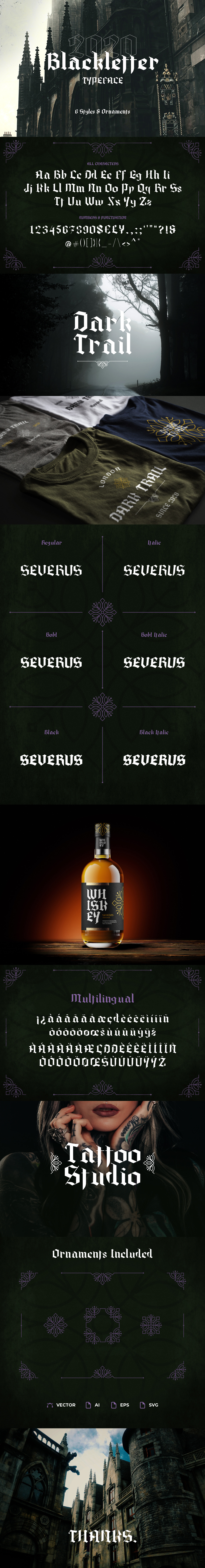 Severus Typeface 6 Styles Gothic Blackletter In Fonts On Yellow Images Creative Store