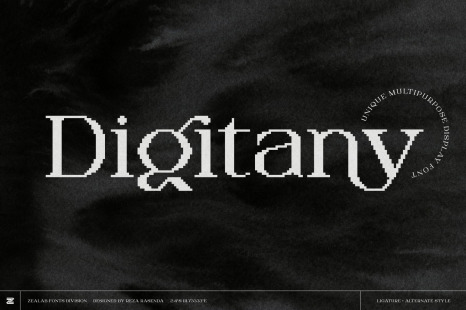 Digitany - Multipurpose Serif-Pixel Display Font