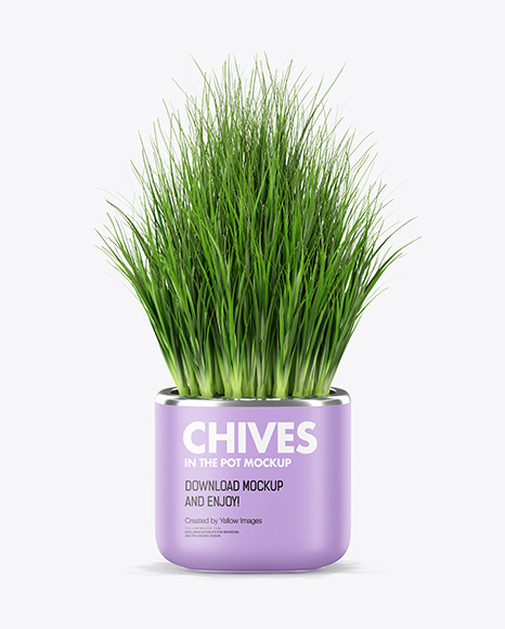 Сhives in The Pot Mockup