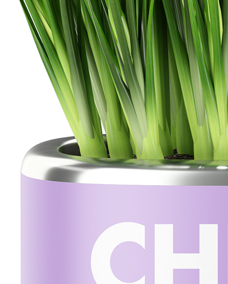 Сhives in The Pot Mockup PSD #7
