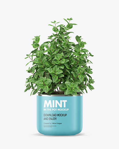 Mint in The Pot Mockup