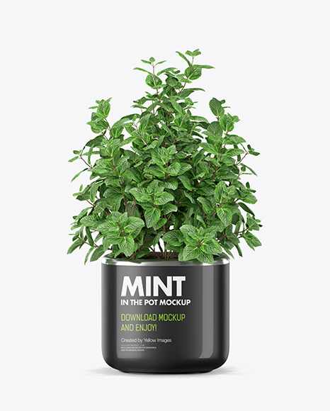Mint in The Pot Mockup PSD #2