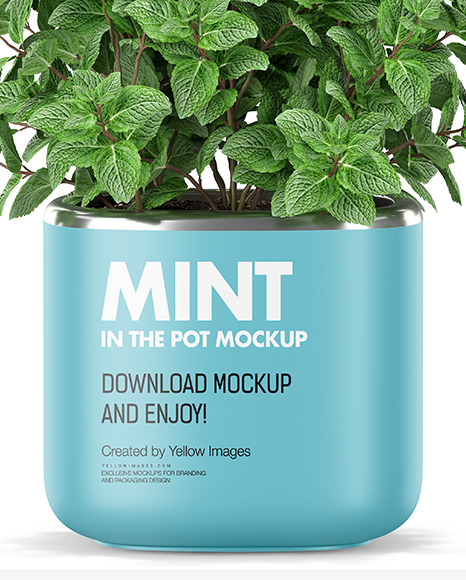 Mint in The Pot Mockup PSD #1