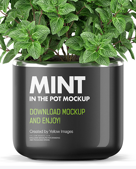 Mint in The Pot Mockup PSD #6