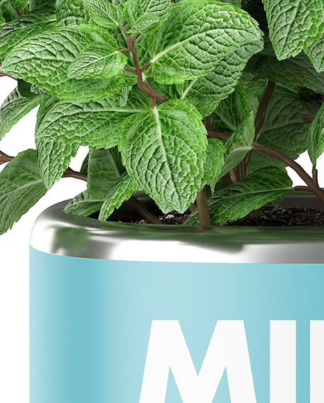 Mint in The Pot Mockup PSD #7
