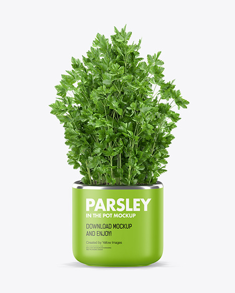 Parsley in The Pot Mockup