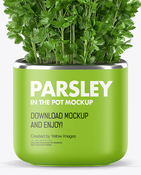 Parsley in The Pot Mockup PSD #1