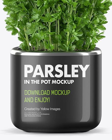 Parsley in The Pot Mockup PSD #6