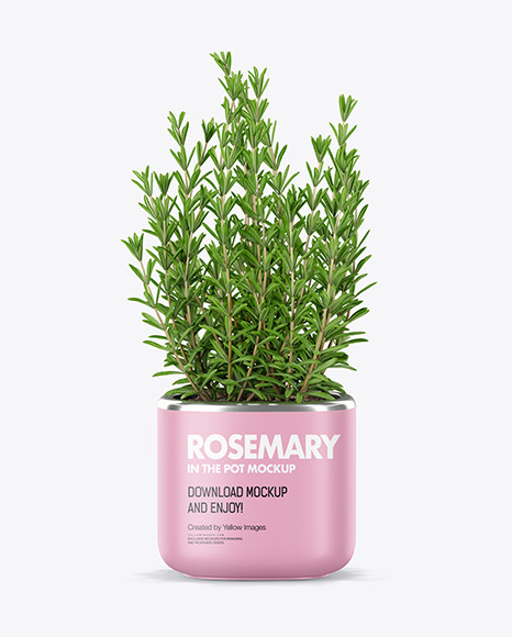 Rosemary in The Pot Mockup