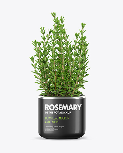 Rosemary in The Pot Mockup PSD #2