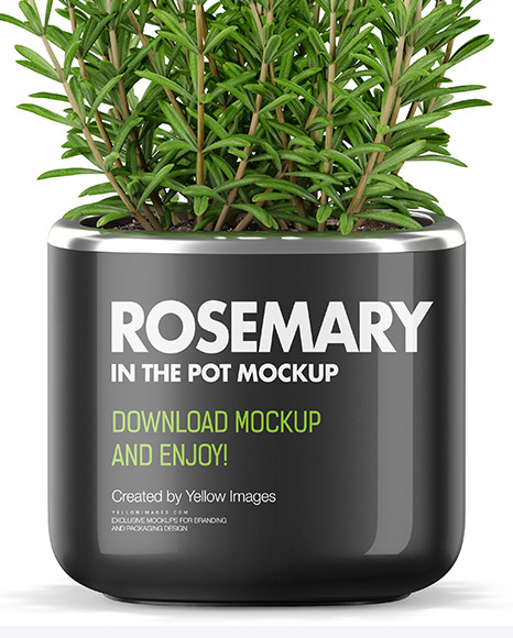 Rosemary in The Pot Mockup PSD #6