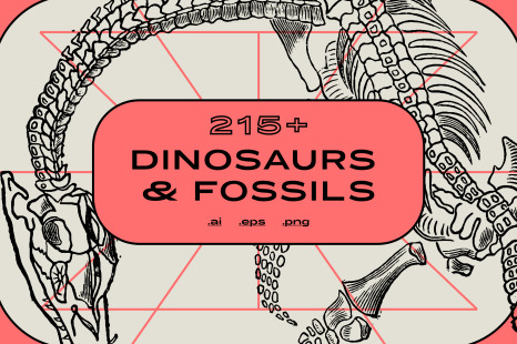 Dinosaurs &amp; Fossils Illustrations