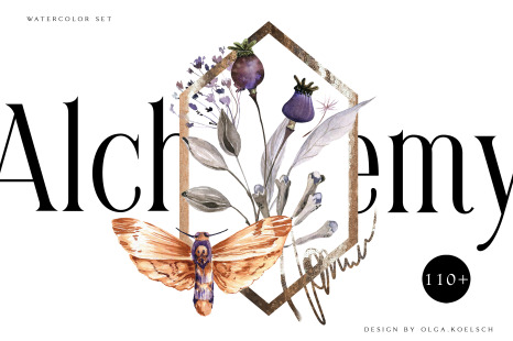 Watercolor dried flower bouquet clipart  Boho floral elements.  Moth watercolor clipart
