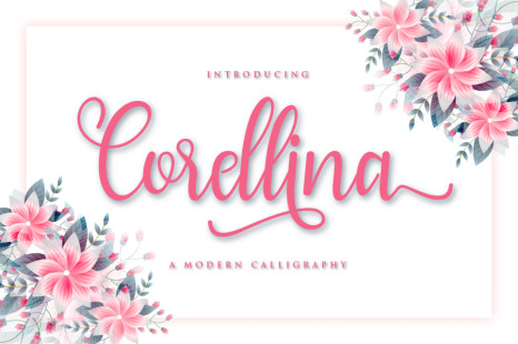 Corellina In Fonts On Yellow Images Creative Store