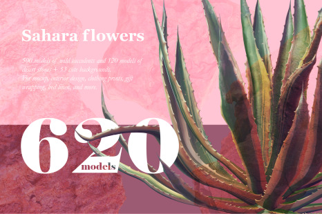 Sahara Flowers #02, 620 mockups + 53 patterns