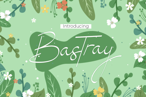 Bastray