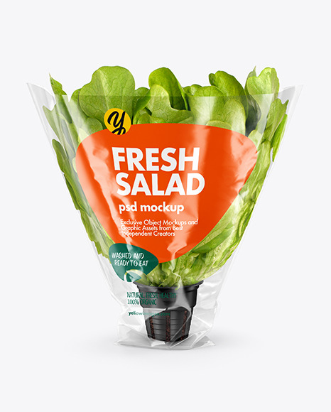 Plastic Bag With Salad Mockup
