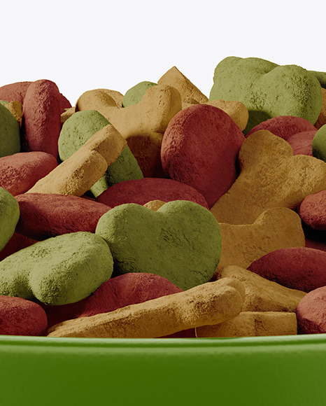 Pet Feeding Bowl Mockup PSD #1