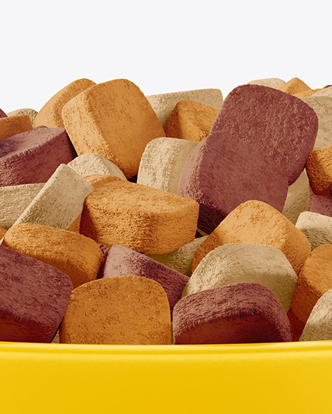 Pet Feeding Bowl Mockup PSD #1