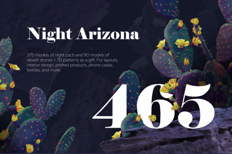 Night Arizona #02, 465 cactus and rock mockups + 70 patterns