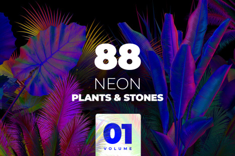 NEON plants &amp; stones collection #01