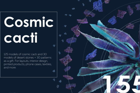 Cosmic cacti #01, 125 cactus and 30 rock mockups + 35 patterns