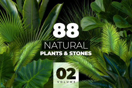 NATURAL plants &amp; stones collection #02