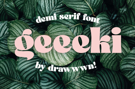 Geeeki Font